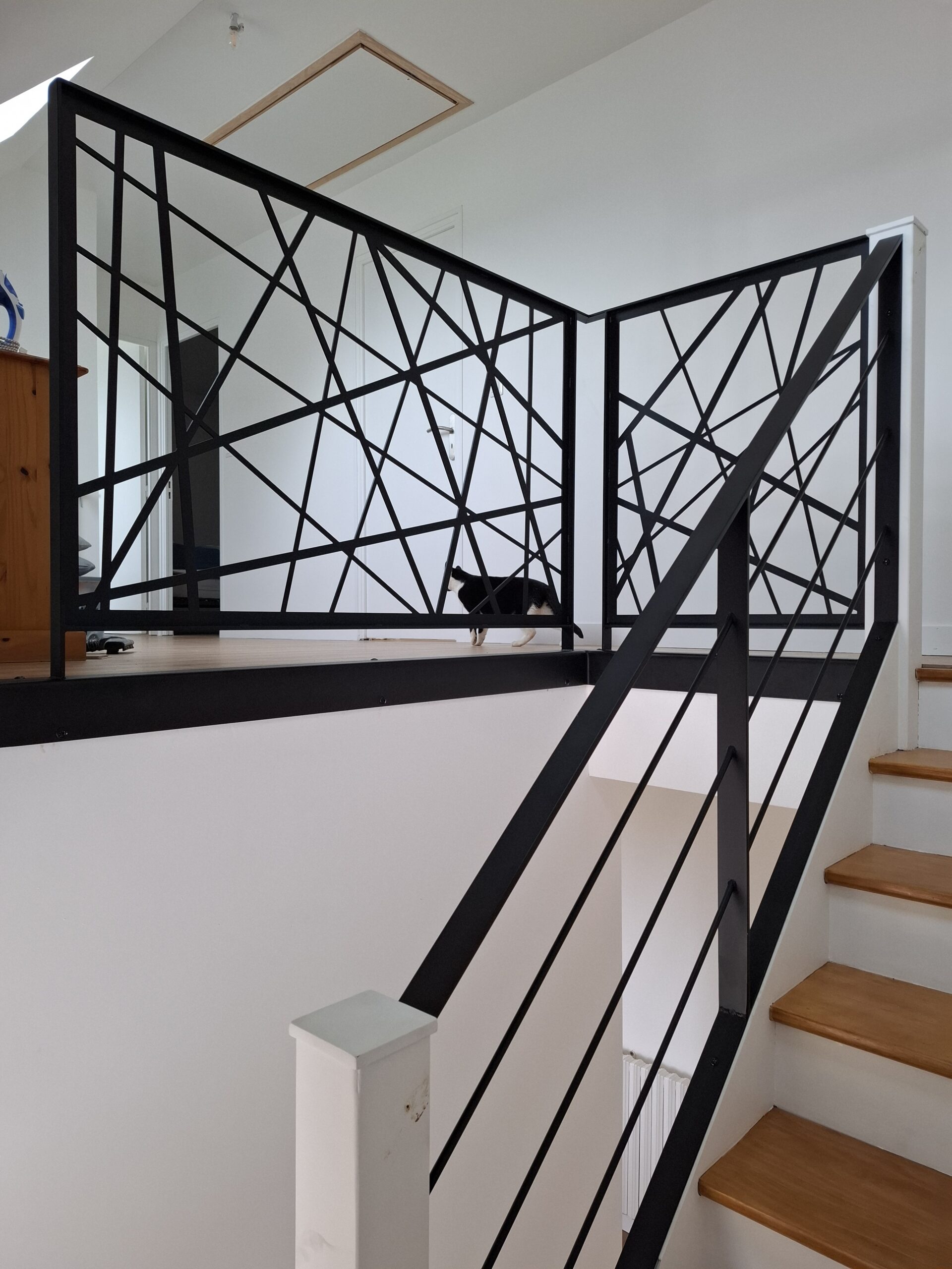 Garde-corps acier – Motif graphique sur mesure